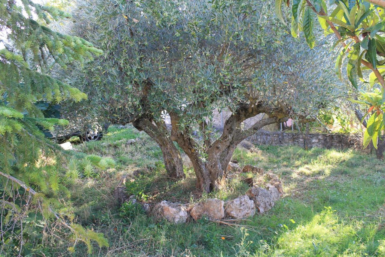 Casa Rural Baobab Romancos Dış mekan fotoğraf