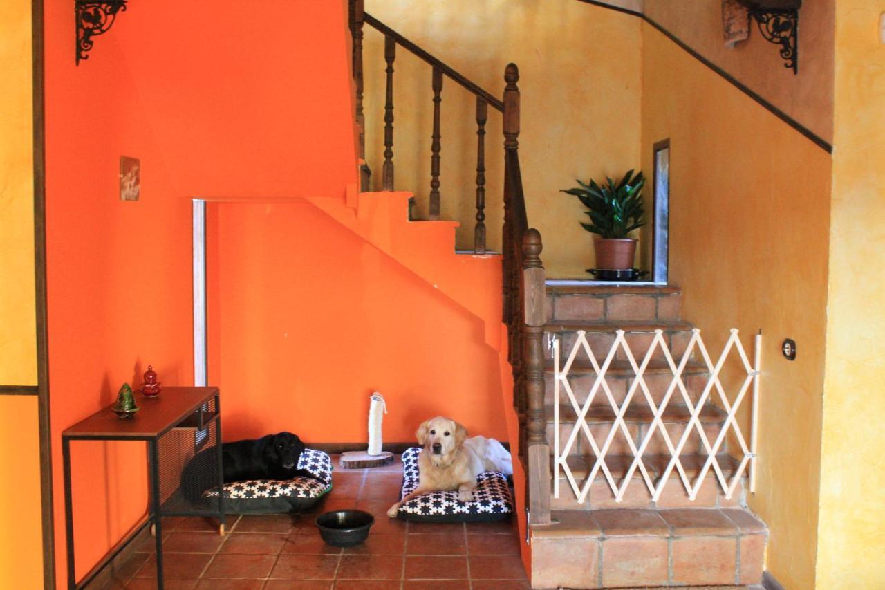 Casa Rural Baobab Romancos Dış mekan fotoğraf